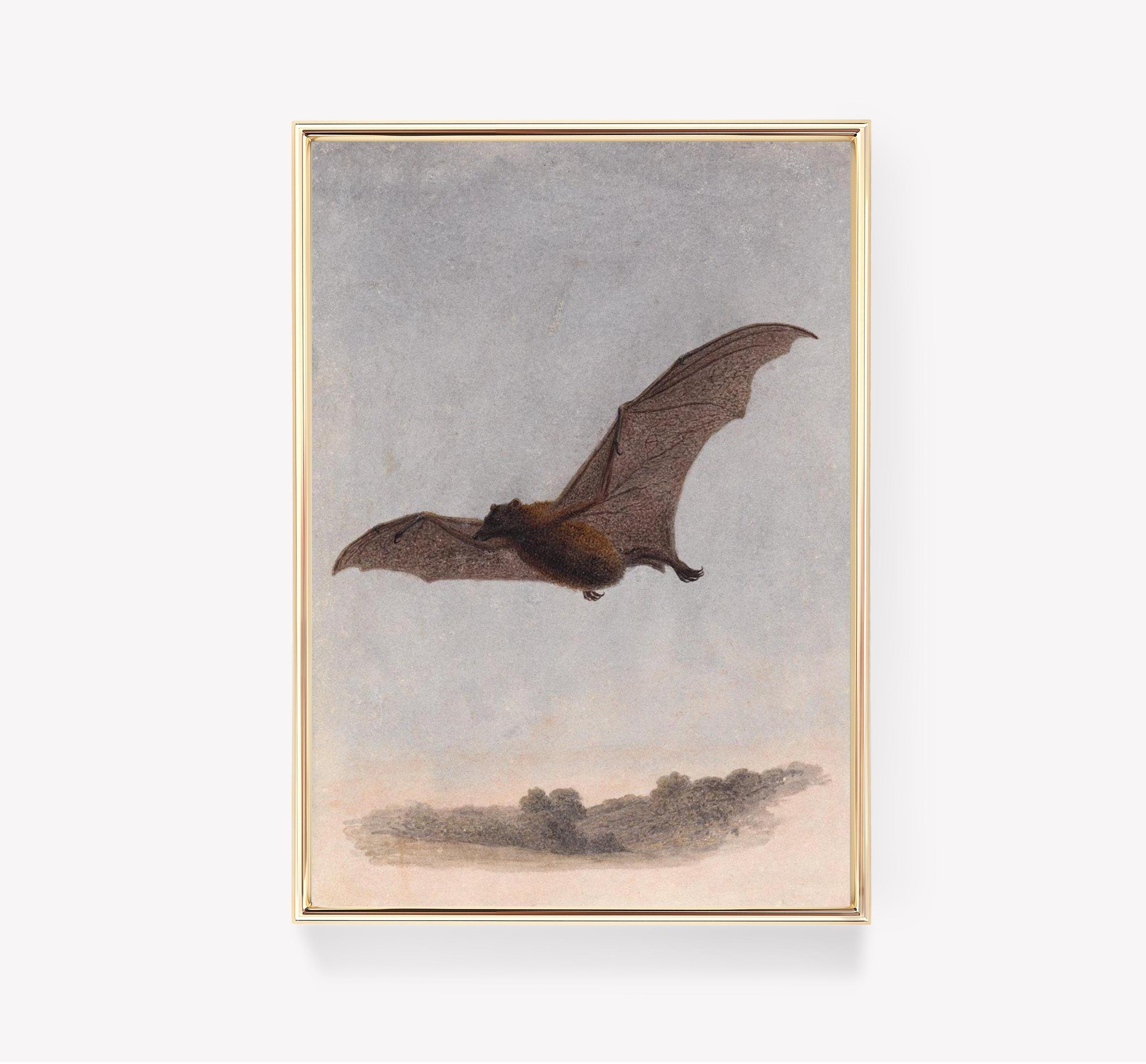 The Flying Bat Vintage Awesome Poster (No Frame) The Flying Bat Vintage Awesome Poster (No Frame)