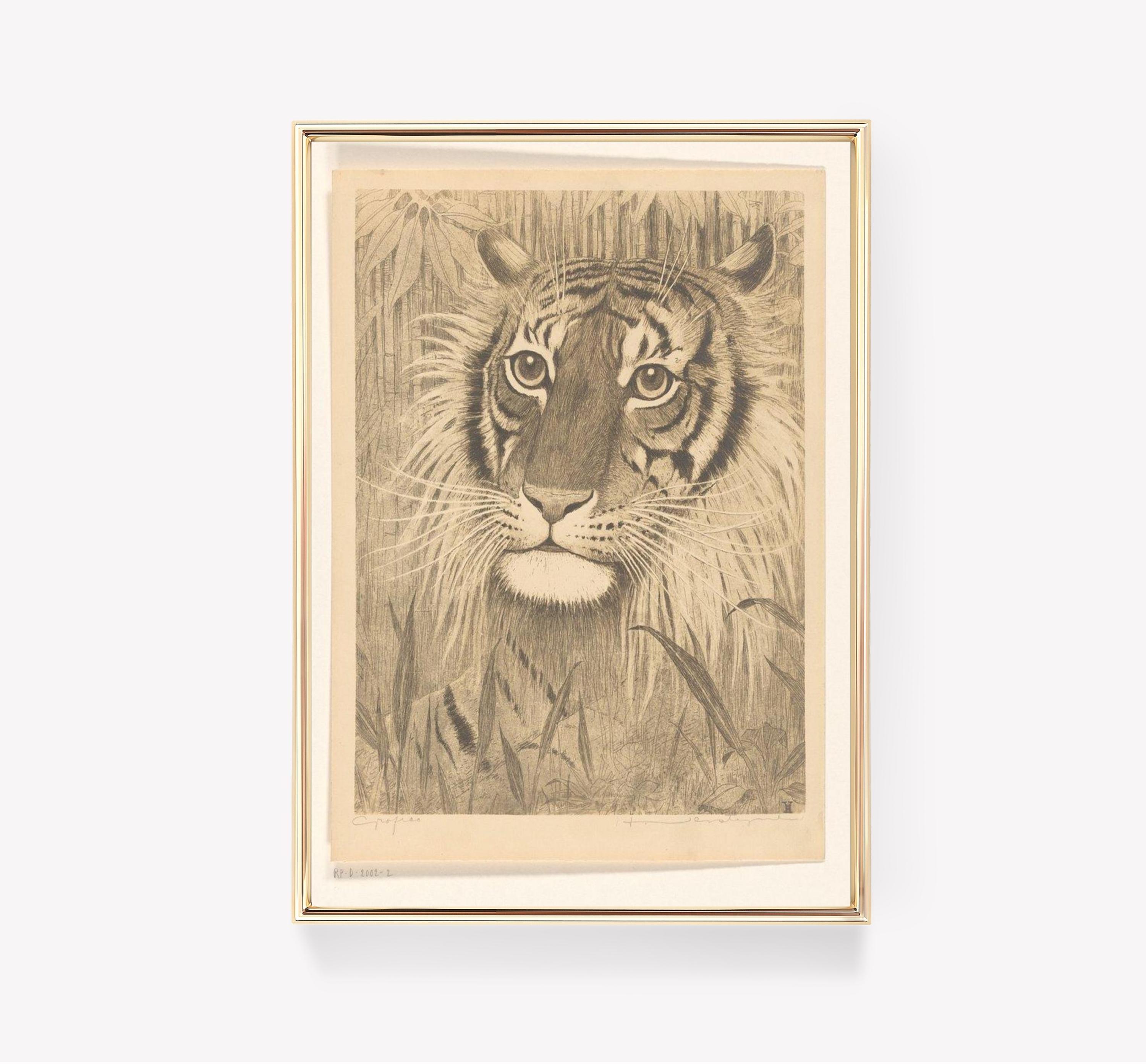 Tiger In Bamboo Big Cat Limited Edition Posters (No Frame) Tiger In Bamboo Big Cat Limited Edition Posters (No Frame)