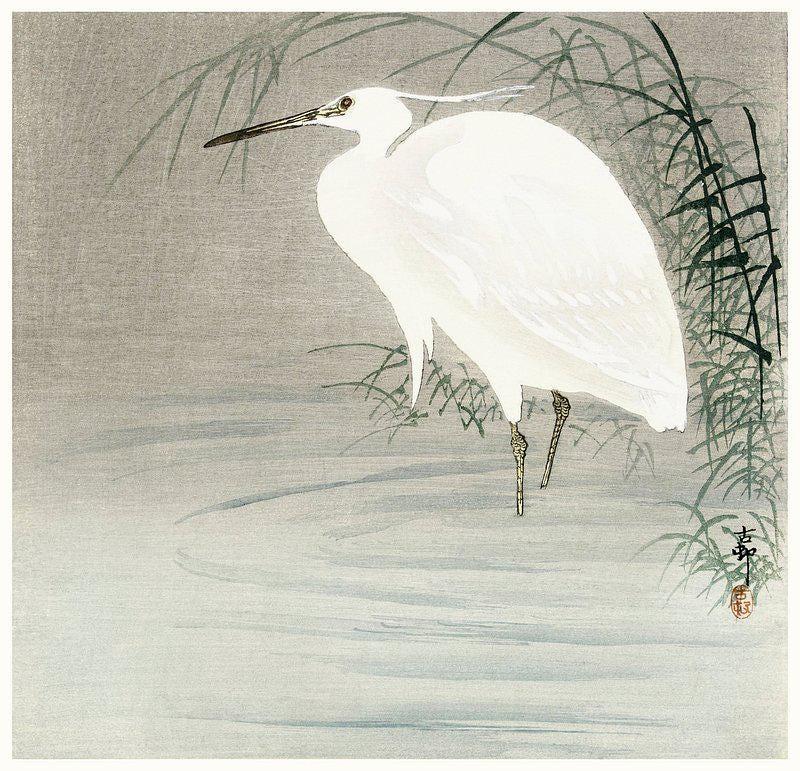 Vintage Heron Art Snowy Heron Trending Style Poster (No Frame) Vintage Heron Art Snowy Heron Trending Style Poster (No Frame)