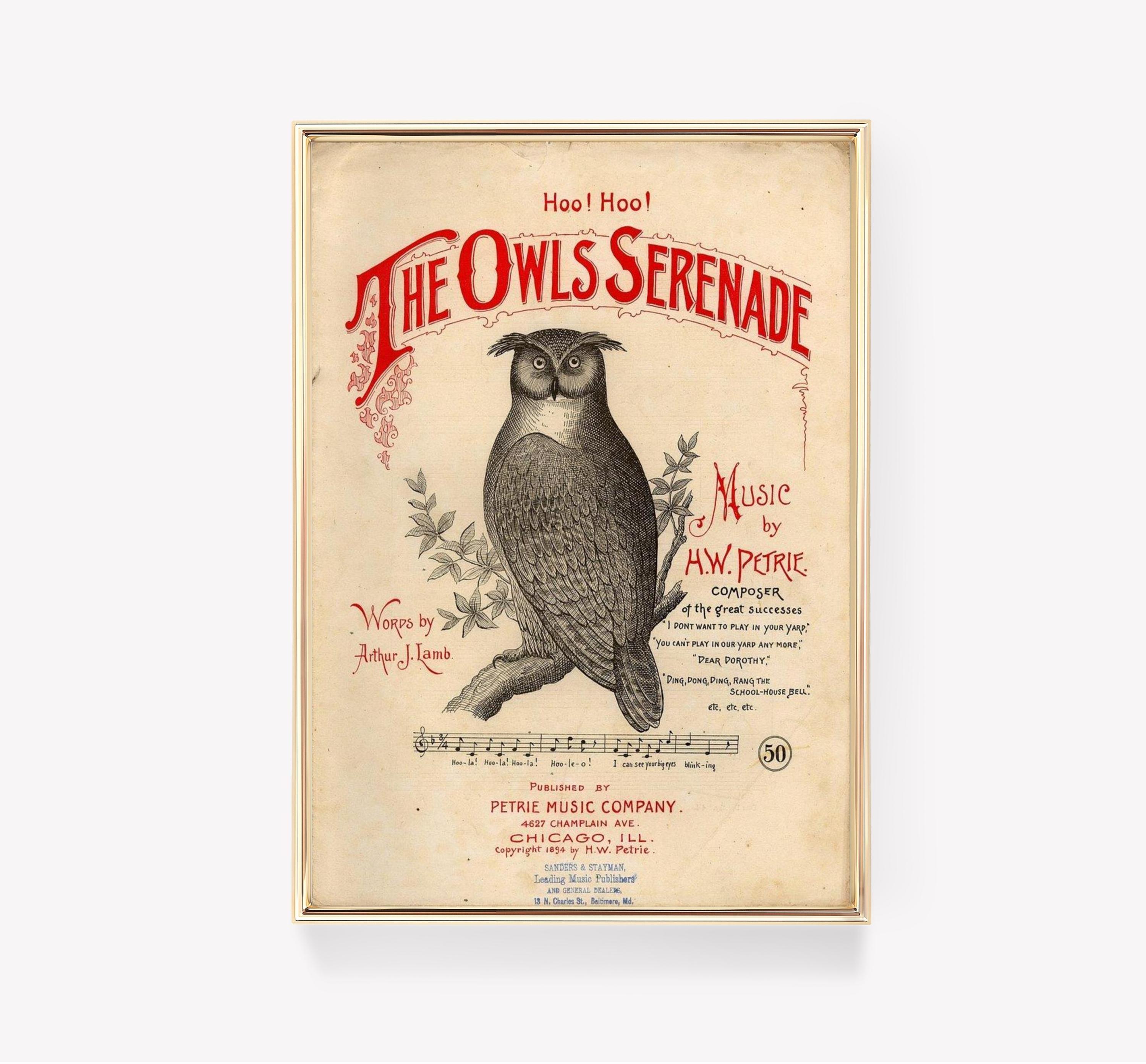 Vintage Owl Art The Owls Serenade Hw Petrie Trending Style Poster (No Frame) Vintage Owl Art The Owls Serenade Hw Petrie Trending Style Poster (No Frame)