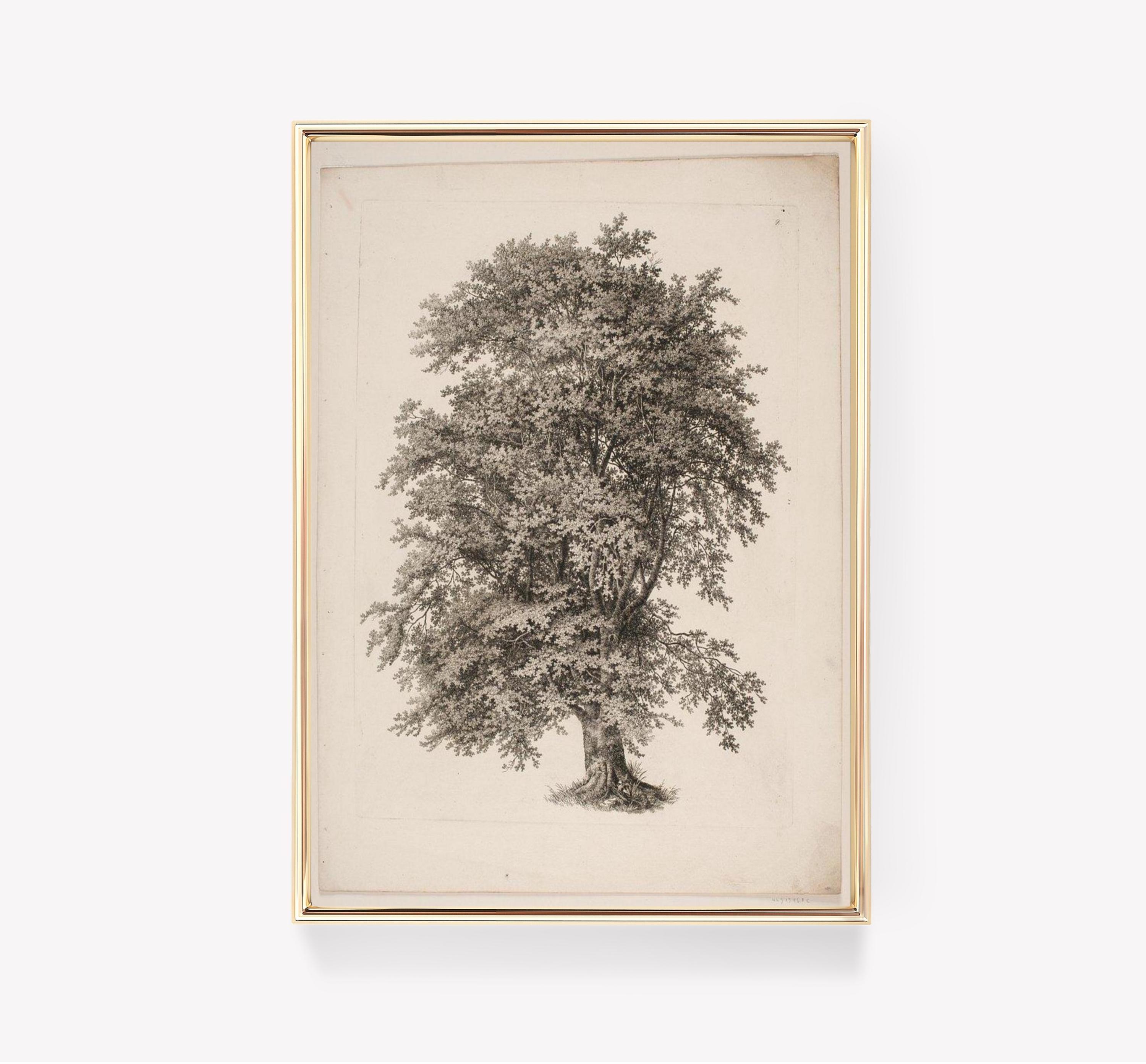 Vintage Tree 4 Trending Style Poster (No Frame) Vintage Tree 4 Trending Style Poster (No Frame)