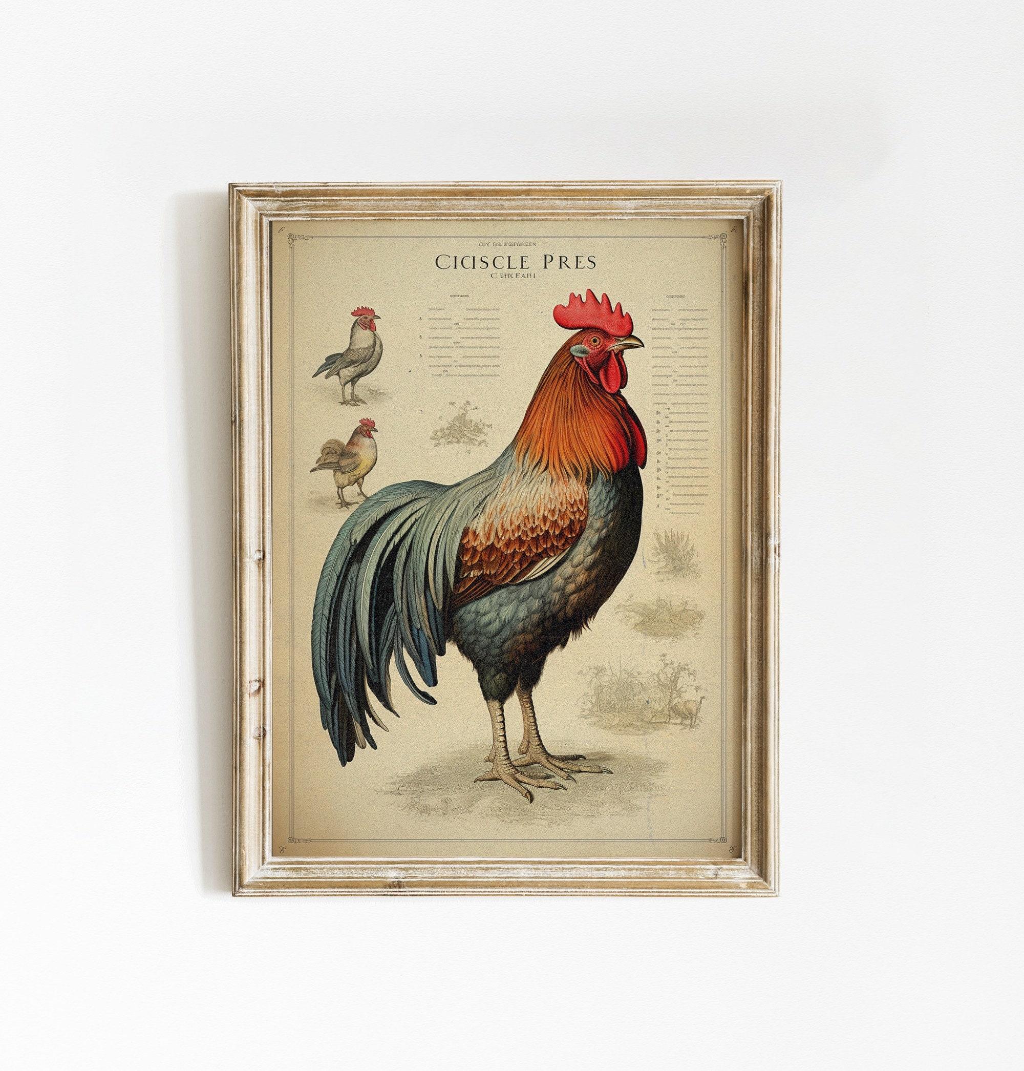 Chicken Wall Decor Modern Farmhouse Decor Chicken Trending Style Poster (No Frame) Chicken Wall Decor Modern Farmhouse Decor Chicken Trending Style Poster (No Frame)