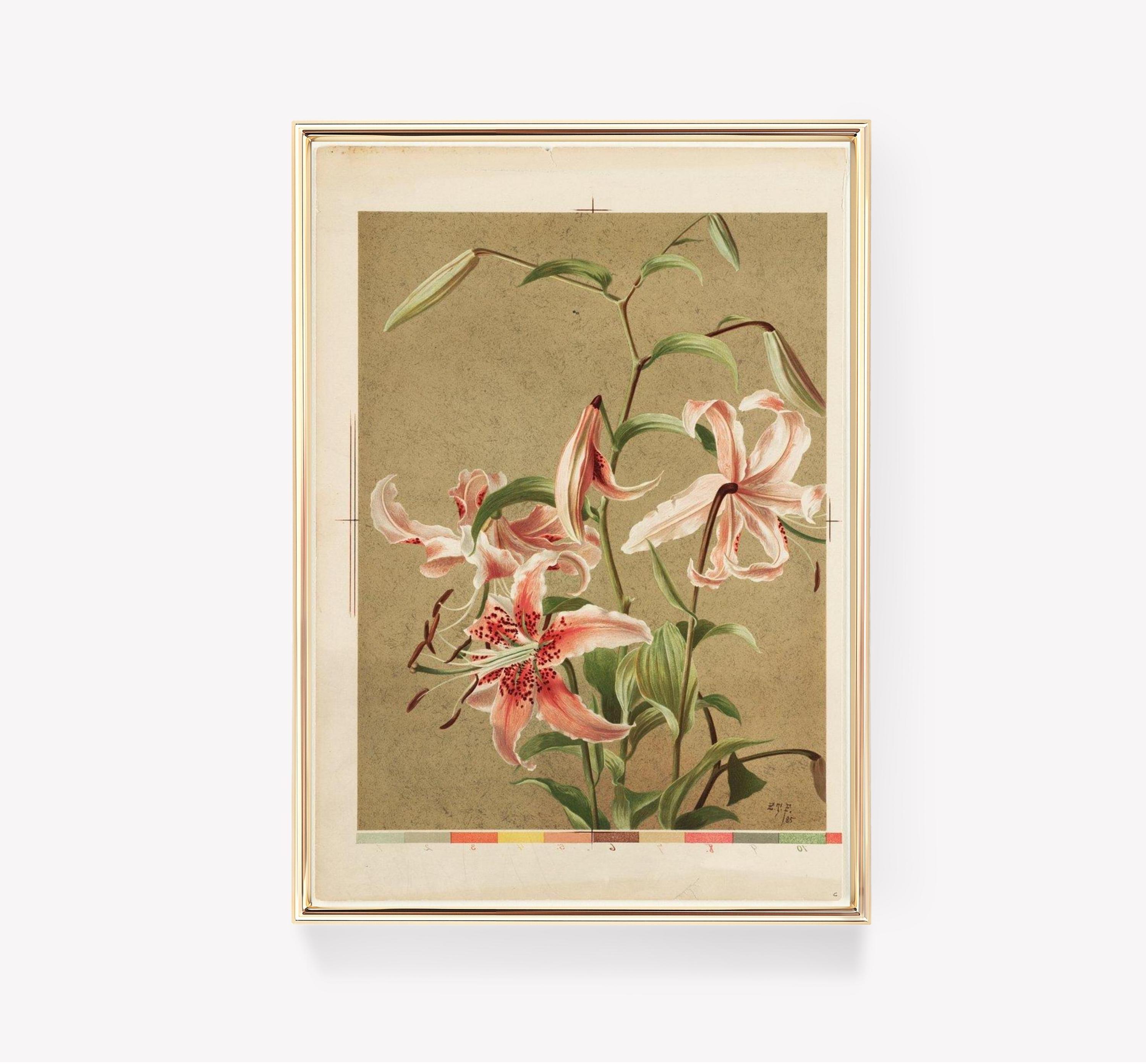 Douard Maubert Art Lilies Limited Edition Posters (No Frame) Douard Maubert Art Lilies Limited Edition Posters (No Frame)