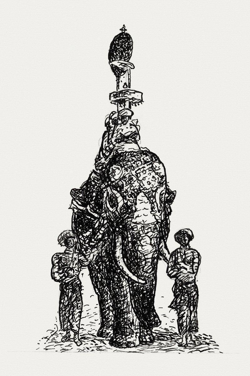 Elephant 2 Trending Style Poster (No Frame) Elephant 2 Trending Style Poster (No Frame)