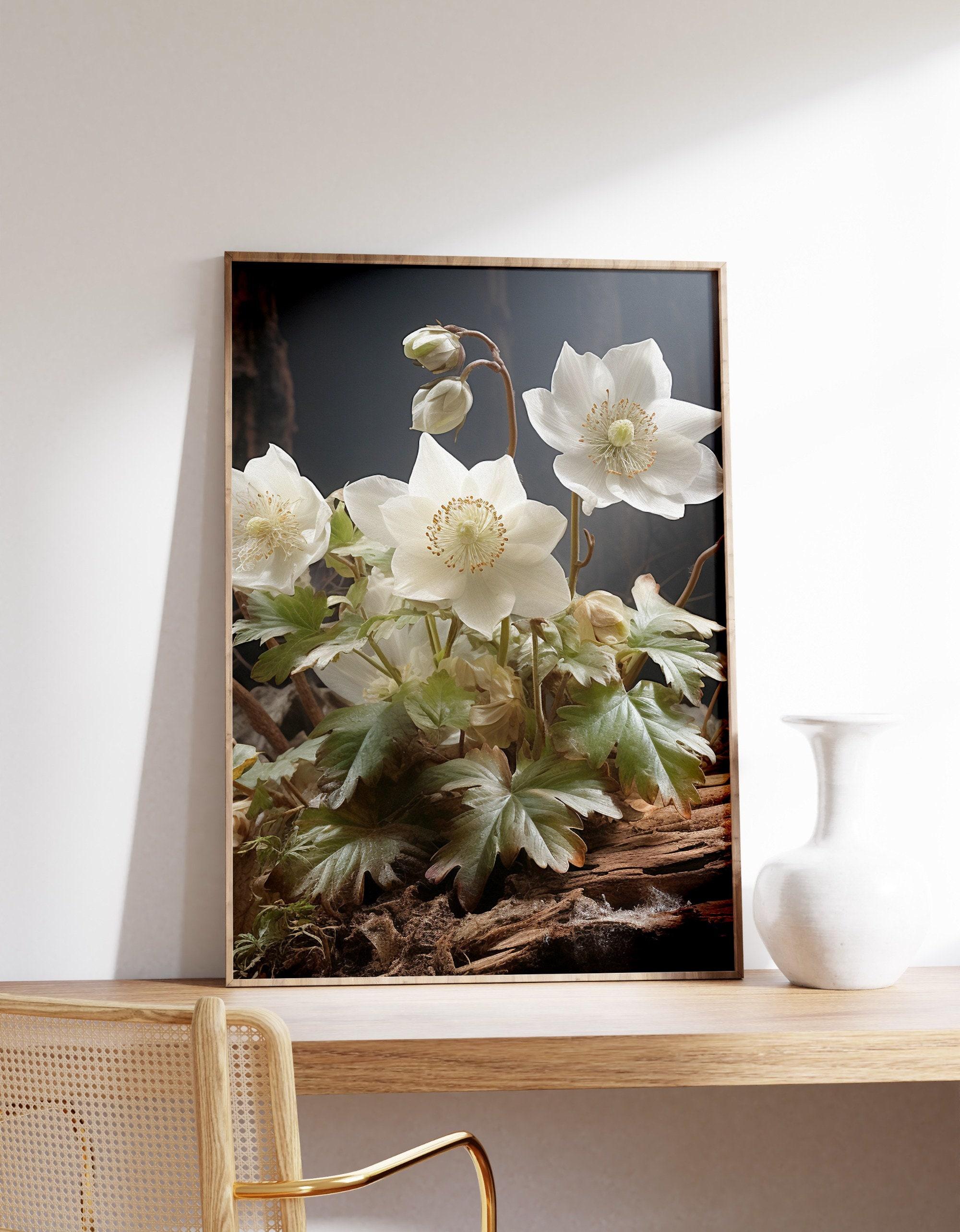 Hellebore Cottagecore Trending Style Poster (No Frame) Hellebore Cottagecore Trending Style Poster (No Frame)