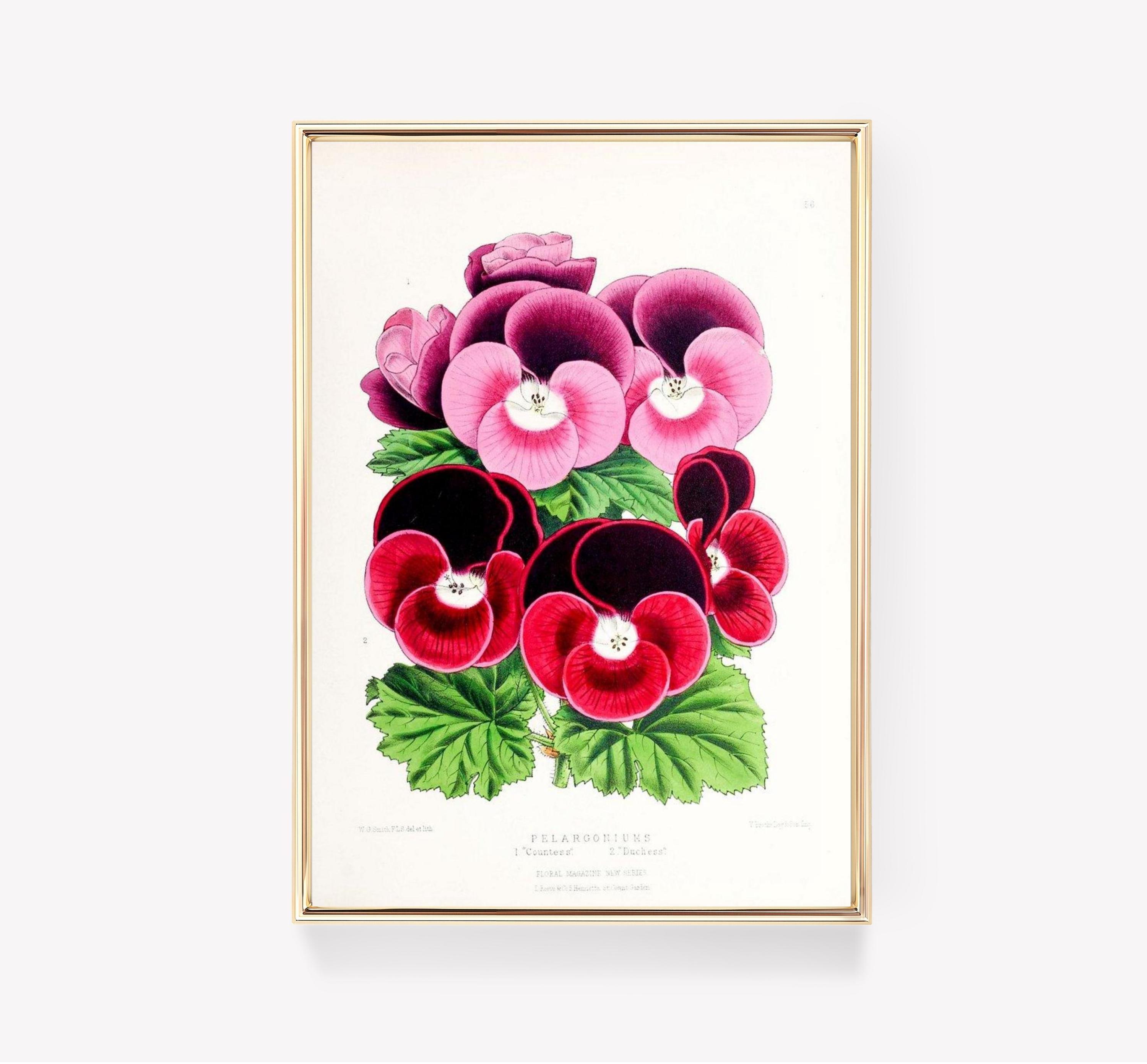 Vintage Flowers 2 Limited Edition Posters (No Frame) Vintage Flowers 2 Limited Edition Posters (No Frame)